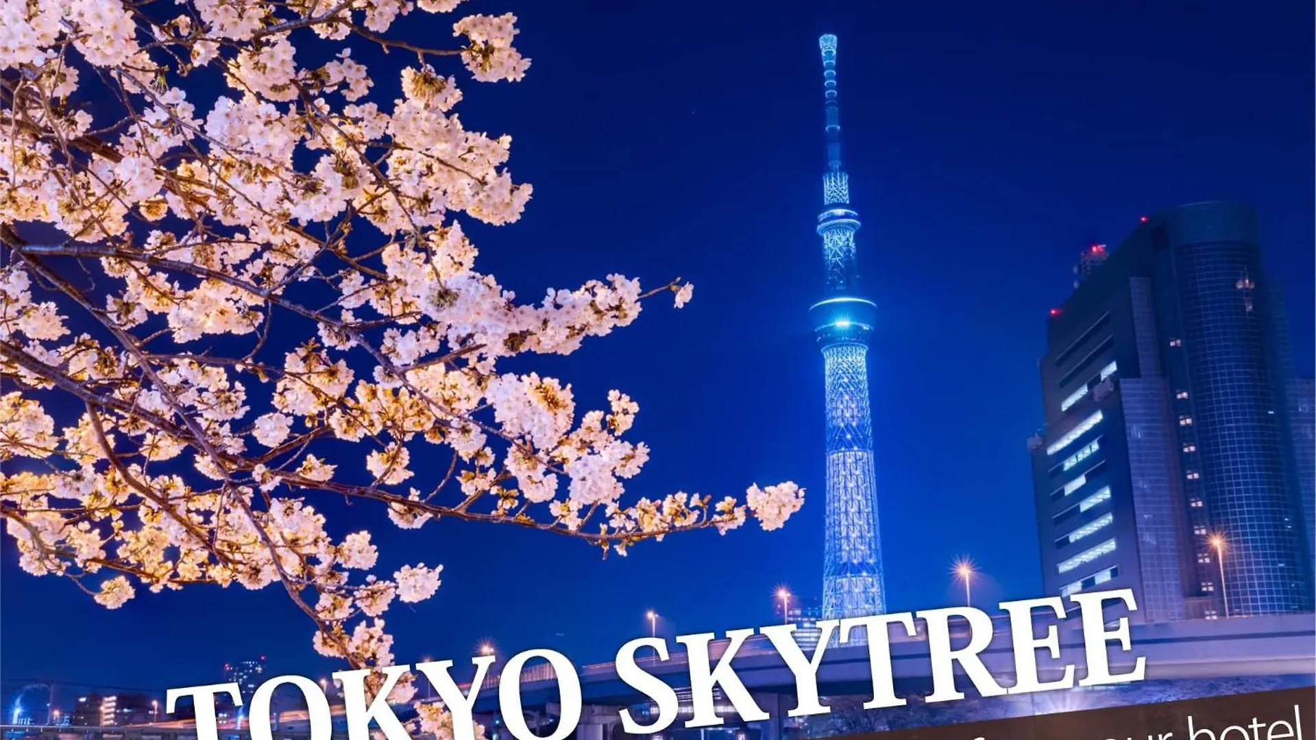 Hotel Balibali 鶯谷 Tokyo
